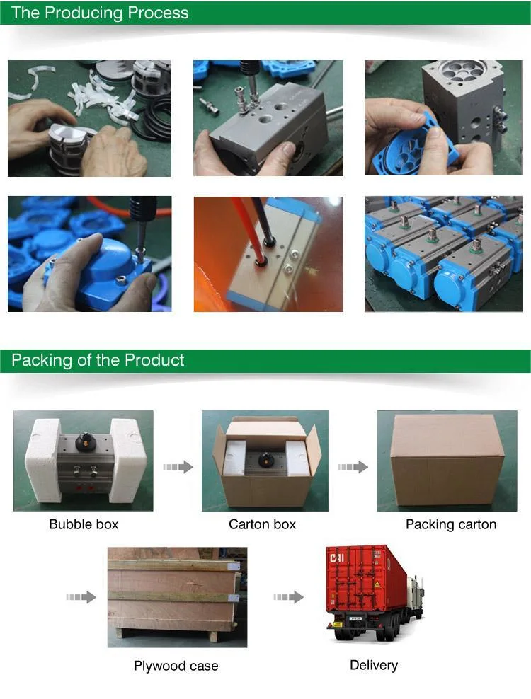 Double Acting and Spring Return Rotary Pneumatic Actuator